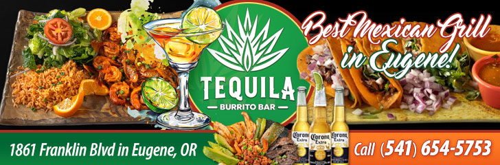 Grooming for dogs and cats 